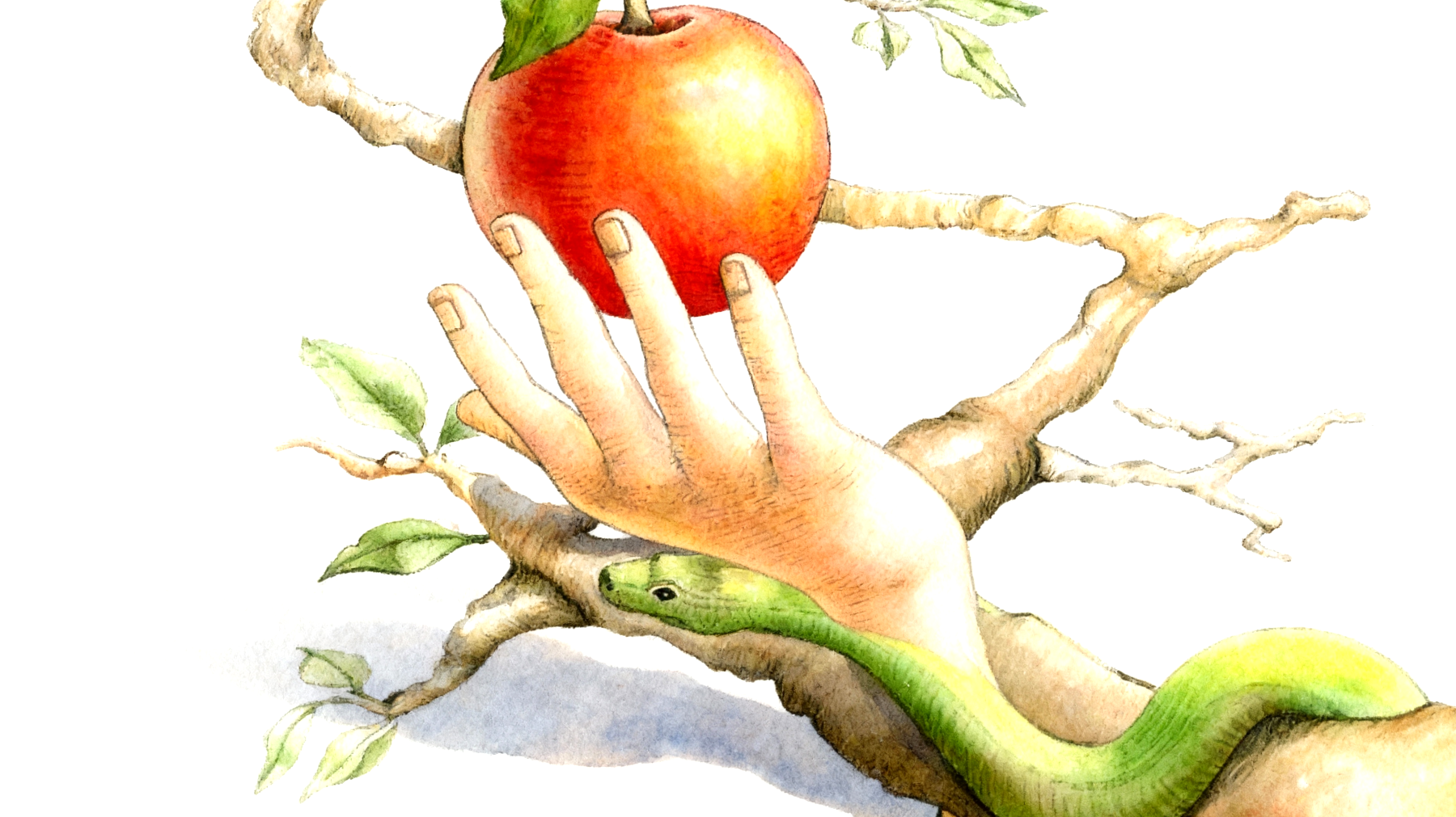 Forbidden Fruit2025-11-13T07:09:55.008Z"